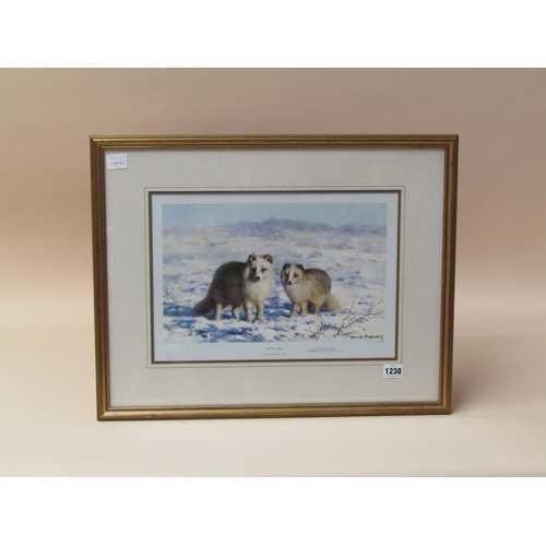 1238 - DAVID SHEPHERD - ARTIC FOXES, F/G COLOURED PRINT 27 x 39 cmS