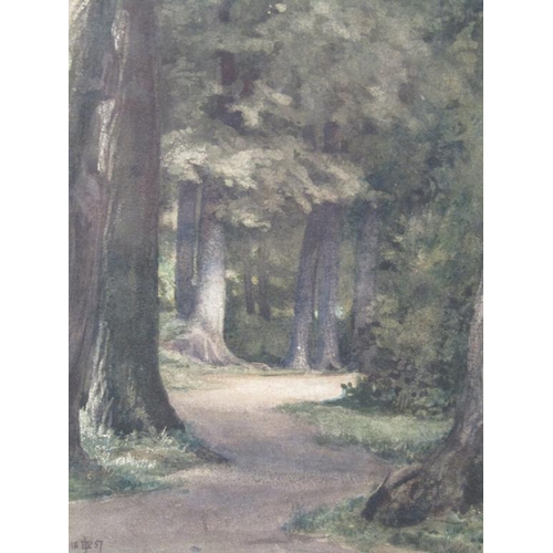 1267 - EDWARD POYNTER - SIGNED IN MONO AND DATED, 1857.  FONTAIN BLEAU FOREST, WATERCOLOUR.  FRAMED 18 x 12... 