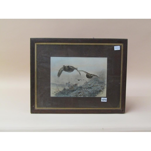 1273 - A THORBURN, FRAMED COLOURED PRINT - GROUSE IN FLIGHT, F/G 22 x 31 cms