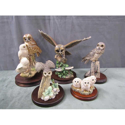 Collection Of Border Fine Art Owls Largest 27cms H