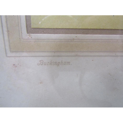 1267 - F ROBSON BUCKINGHAM FRAMED COLOURED PRINT 26 x 18 cms