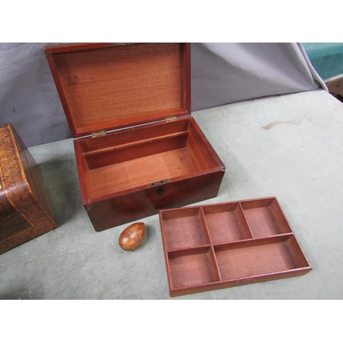 1300 - THREE 19c BOXES, ONE MAHOGANY, ONE TUNBRIDGE BANDED AND A FIGURED MAHOGANY FITTED BOX