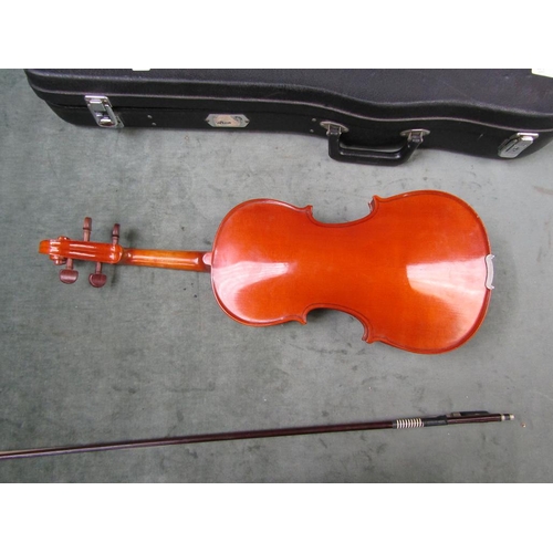 1351 - VIOLIN IN CASE