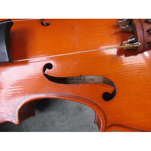 1351 - VIOLIN IN CASE