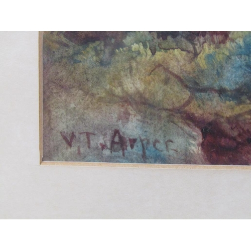 1261 - V.T ARPER - COMMON LANDSCAPE WITH SHEEP GRAZING BENEATH PINE TREES, SIGNED WATERCOLOUR, F/G, 26CM X ... 