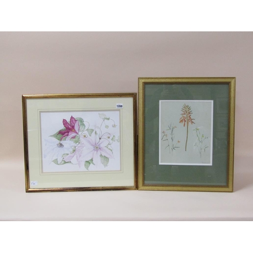 1269 - TWO F/G WATERCOLOURS - FLOWERS, EACH APPROX. 28CM X 37CM