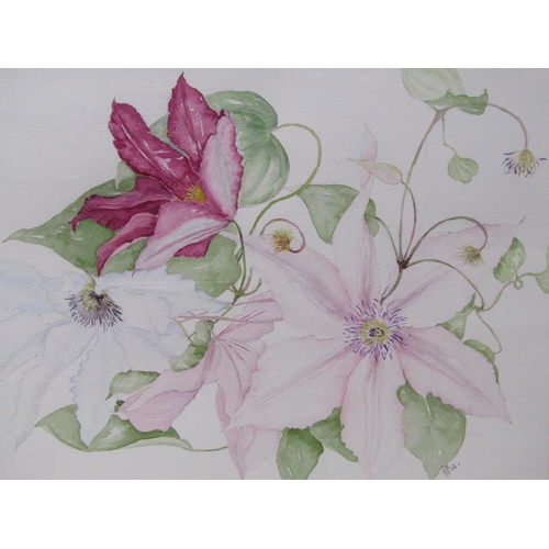 1269 - TWO F/G WATERCOLOURS - FLOWERS, EACH APPROX. 28CM X 37CM