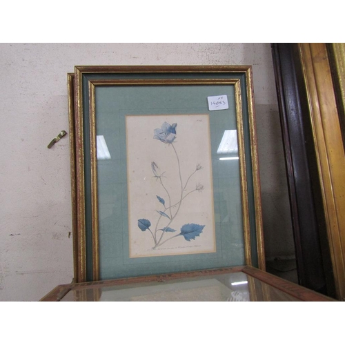 153 - FRAMED BOTANICAL ENGRAVINGS