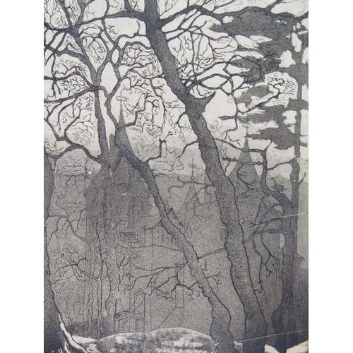 1212 - ANNIE WILLIAMS 67 - CASTELL COCH, WALES, B&W ENGRAVING, 50CM X 34CM