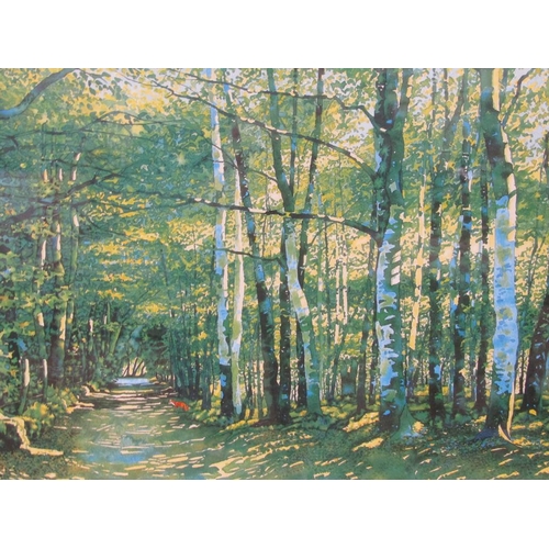 1213 - PETER READING - SUMMER MORNING, DARTMOOR, LIMITED EDITION COLOURED PRINT, F/G, 40CM X 60CM