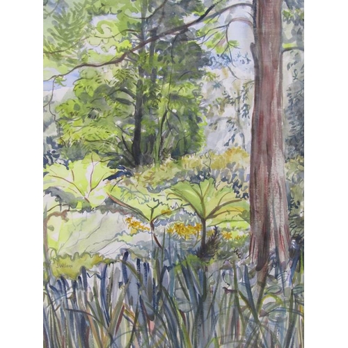 1217 - JOAN WILCOX - WATER GARDENS, UNSIGNED, INFORMATION TO REVERSE, WATERCOLOUR, F/G, 48CMX 39CM