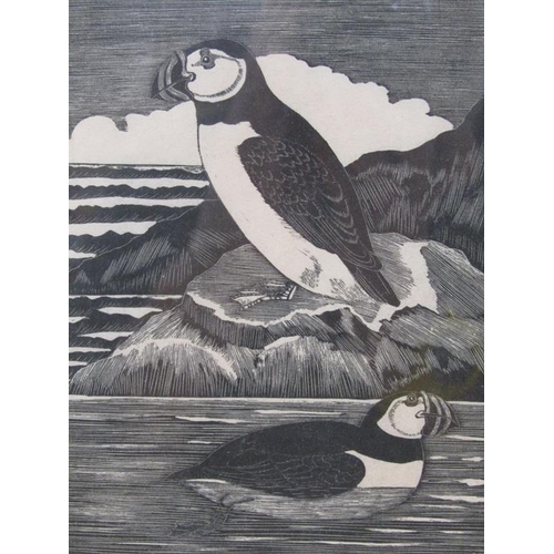 1224A - ERIC DAGLISH - PUFFINS, B&W LINE ENGRAVING, SIGNED IN PENCIL, F/G, 17CM X 13CM