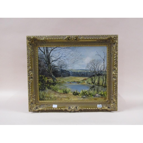 1232 - SIGNED INDISTINCTLY - LANDSCAPE WITH POND IN FOREGROUND, OIL ON CANVAS, FRAMED, 39CM X 49CM