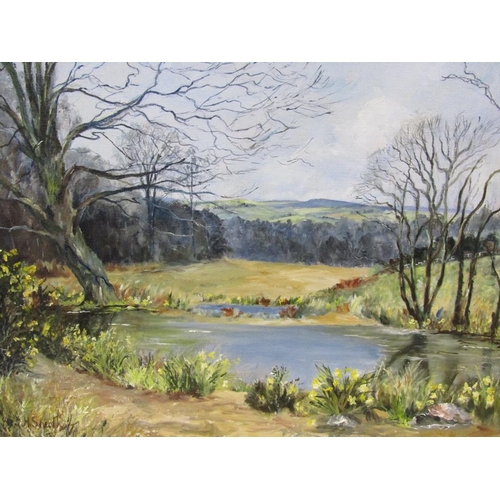 1232 - SIGNED INDISTINCTLY - LANDSCAPE WITH POND IN FOREGROUND, OIL ON CANVAS, FRAMED, 39CM X 49CM