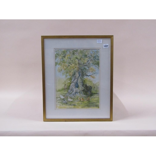 1237 - ROGER PENNY-HANDS - OAK TREE, CHICKENS AND DUCKS, SIGNED WATERCOLOUR, F/G, 37CM X 27CM