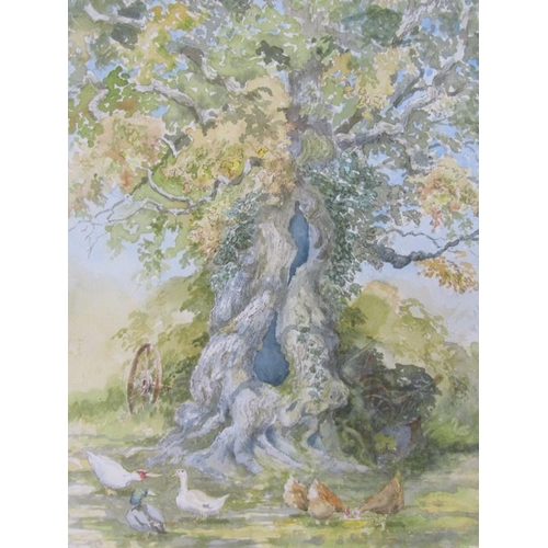 1237 - ROGER PENNY-HANDS - OAK TREE, CHICKENS AND DUCKS, SIGNED WATERCOLOUR, F/G, 37CM X 27CM