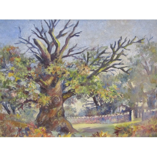 1287 - UNSIGNED - OIL ON CANVAS, THE OLD OAK TREE, 39CM X 49CM