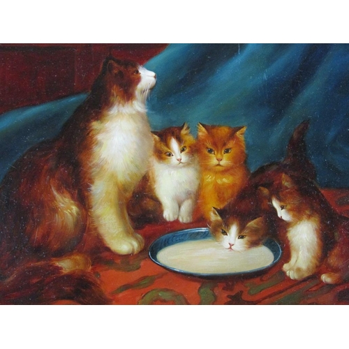 1291 - THREE FRAMED OIL ON CAVNAS - TWO OF CATS & KITTENS; STILL LIFE