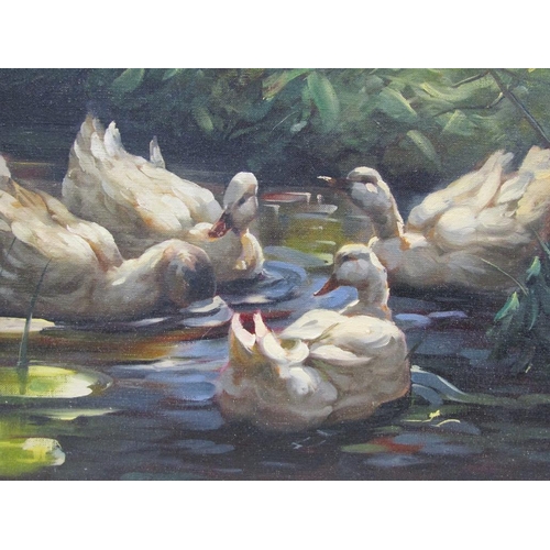 1294 - UNSIGNED OIL ON CANVAS - TWO PICTURES - DUCKS ON THE WATER, 50CM X 60CM & 40CM X 50CM