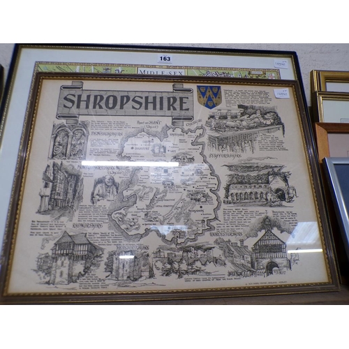 163 - COLLECTION OF FRAMED MAPS