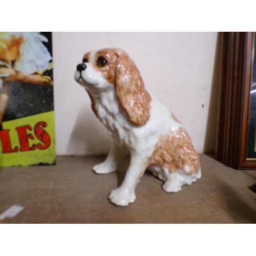 39 - WINSTANLEY KING CHARLES SPANIEL DOG