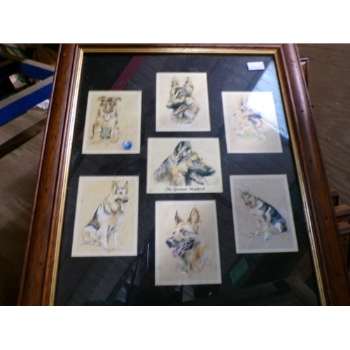 273 - FRAMED CIGARETTE CARDS