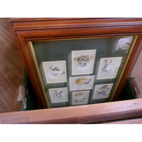 273 - FRAMED CIGARETTE CARDS