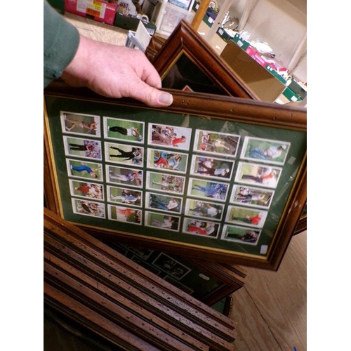 275 - FRAMED TRADING CARDS - GOLFING ETC