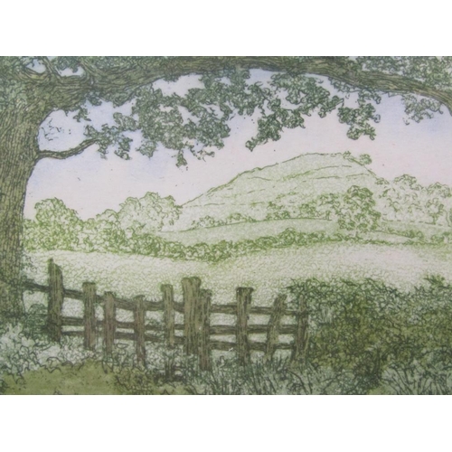 1227 - ELIZABETH GENNETT - BLUEBERRY HILL FROM THE LANE, LIMITED EDITION COLOURED PRINT, F/G, 9CM X 14CM