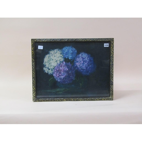 1228 - A.W ENNISS - HYDRANGEA, SIGNED, OIL ON BOARD, F/G, 37CM X 49CM