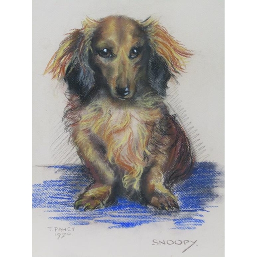 1233 - FRAMED PASTEL DRAWING OF A DOG, 'SNOOPY' BY T PANET, F/G, 42CM X 33CM