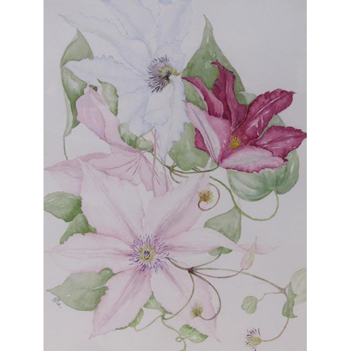 1256 - TWO PAINTINGS - FLOWERS AND CLEMATIS - ANTONIA DUNDAS AND ONE OTHER