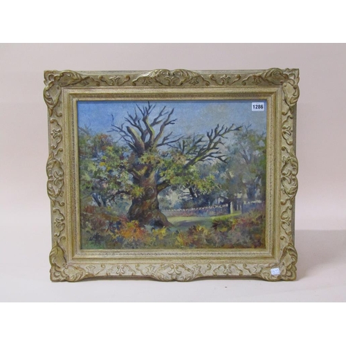 1286 - UNSIGNED - THE OLD OAK TREE, OIL ON CANVAS, FRAMED, 39CM X 49CM