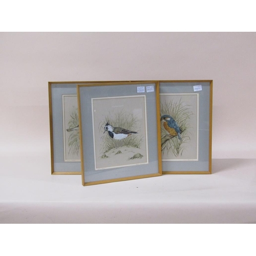 1286A - ANDREW ALEXANDRA - THREE F/G COLOURED ORNITHOLOGICAL PRINTS, EACH 26CM X 20CM