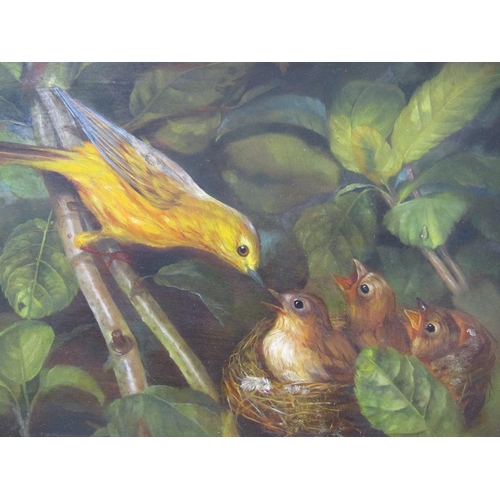 1295 - SIGNED INDISTINCTLY - FLEDGLING BIRDS, OIL ON PANEL, FRAMED, 16CM X 20CM