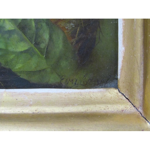 1295 - SIGNED INDISTINCTLY - FLEDGLING BIRDS, OIL ON PANEL, FRAMED, 16CM X 20CM