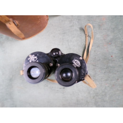 1339 - CASED PAIR OF BINOCULARS, 24CM L