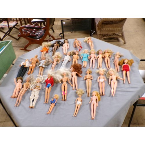 225 - SINDY DOLLS AND ACCESSORIES