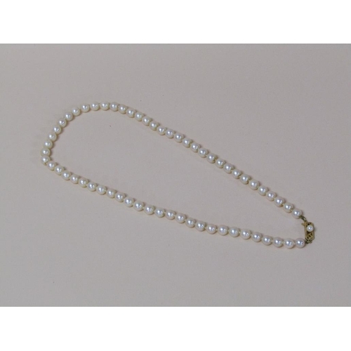 121 - A Mikimoto pearl necklace with 14kt gold clasp.