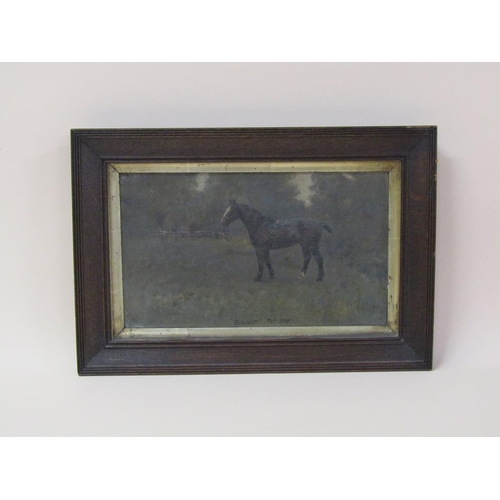 231 - Unsigned - Blazer, May 1908, portrait of a horse, oil on canvas, framed, 17cm x 29cm.