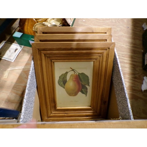 273 - FRAMED BOTANICAL PRINTS