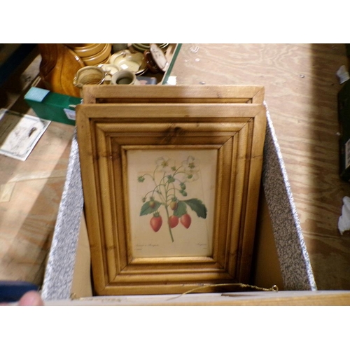 273 - FRAMED BOTANICAL PRINTS