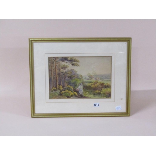 1210 - S ANDERSON - A LADY ON THE EDGE OF A WOODLAND, SIGNED WATERCOLOUR, F/G, 23CM X 32CM