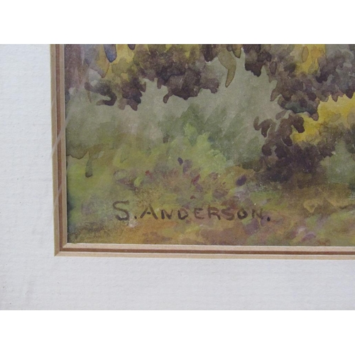 1210 - S ANDERSON - A LADY ON THE EDGE OF A WOODLAND, SIGNED WATERCOLOUR, F/G, 23CM X 32CM