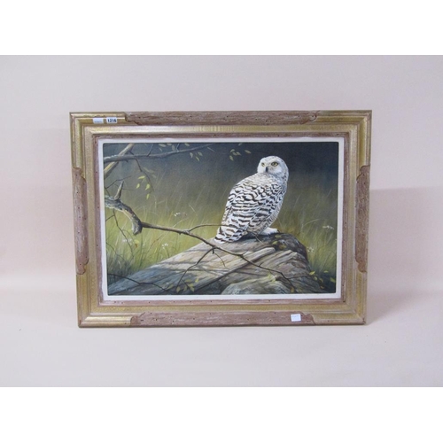 1216 - GRANT HACKING 1946 - SNOWY OWL, OIL ON CANVAS, FRAMED, 50CM X 75CM