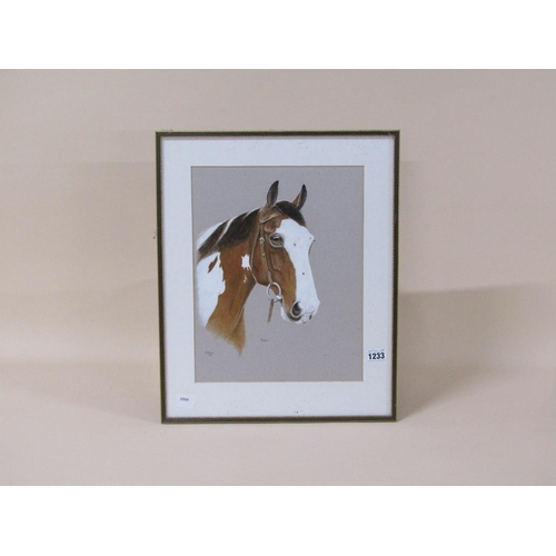 1233 - JILL FOWLER 1975 - THE HORSE 'NOBBY', SIGNED AND TITLED WATERCOLOUR, F/G, 35CM X 28CM