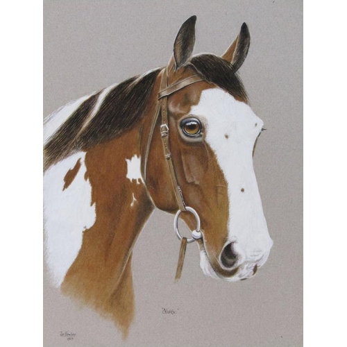 1233 - JILL FOWLER 1975 - THE HORSE 'NOBBY', SIGNED AND TITLED WATERCOLOUR, F/G, 35CM X 28CM