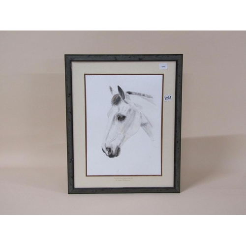 1234 - MONO C.V.R - GREY HORSE HEAD, SIGNED IN MONO, WATERCOLOUR, FRAMED, 40CM X 30CM