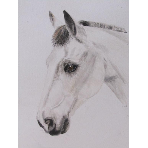 1234 - MONO C.V.R - GREY HORSE HEAD, SIGNED IN MONO, WATERCOLOUR, FRAMED, 40CM X 30CM