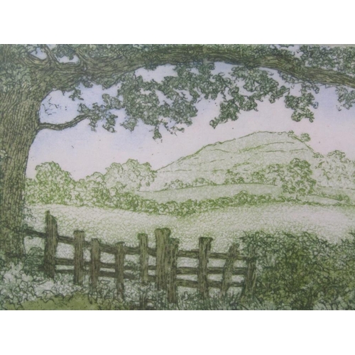 1236 - ELIZABETH GEMMELL - RUEBERRY HILL FAMR LANE, LIMITED EDITION COLOURED PRINT, 9CM X 14CM